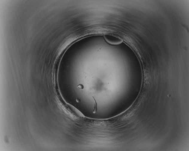 X0000103320843200809121146