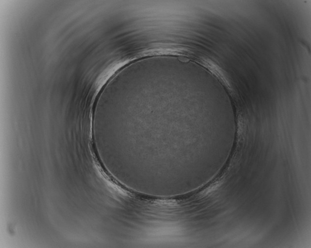 X0000103320844200809121146