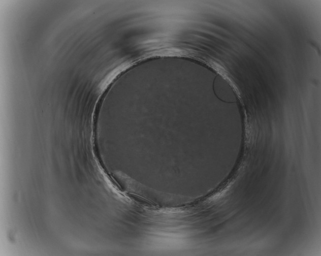 X0000103320845200809121146