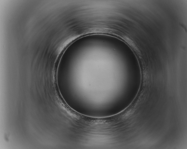 X0000103320846200809121146