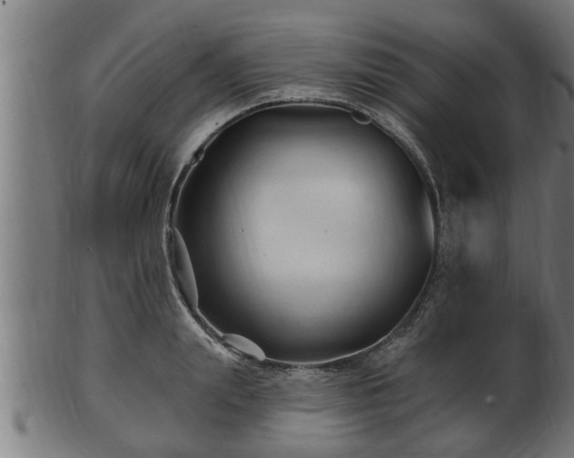 X0000103320847200809121146