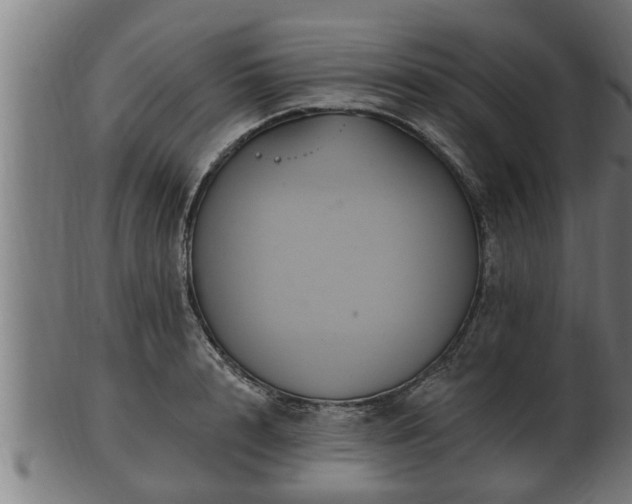 X0000103320848200809121146