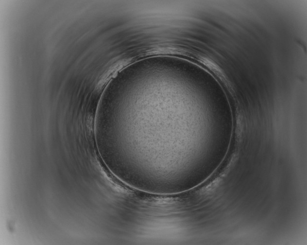 X0000103320849200809121146