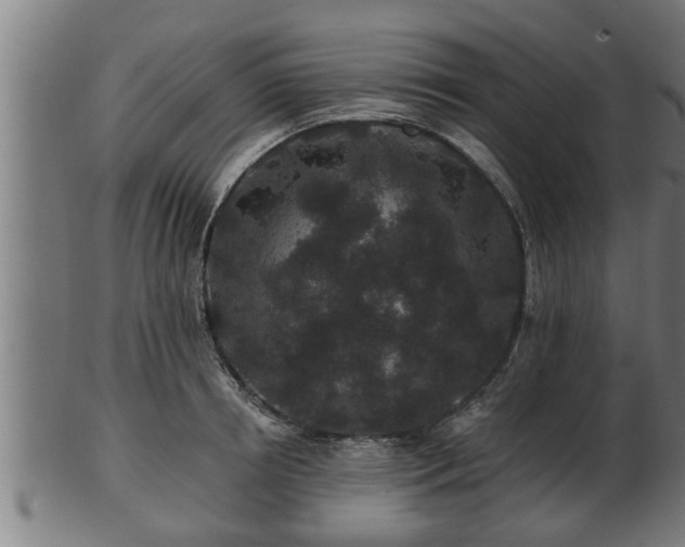 X0000103320850200809121146