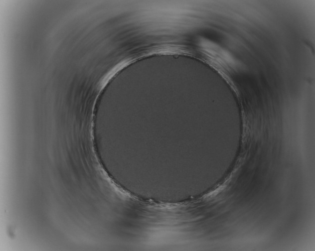 X0000103320853200809121146