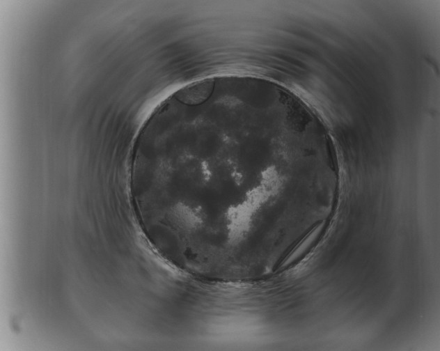 X0000103320854200809121146