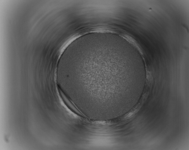 X0000103320855200809121146