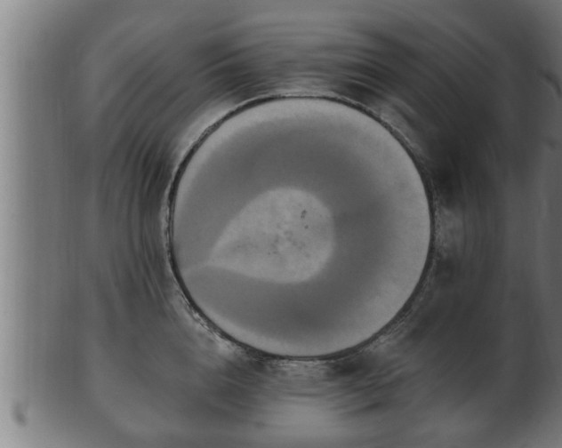 X0000103320856200809121146