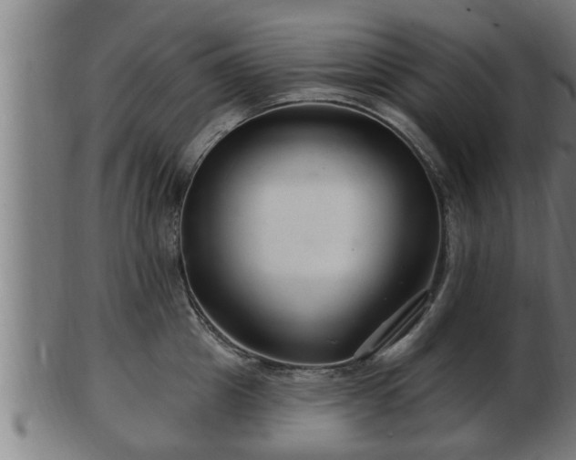 X0000103320857200809121146