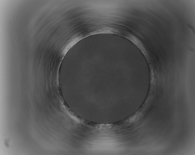 X0000103320858200809121146