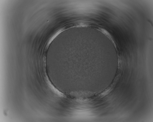 X0000103320859200809121146