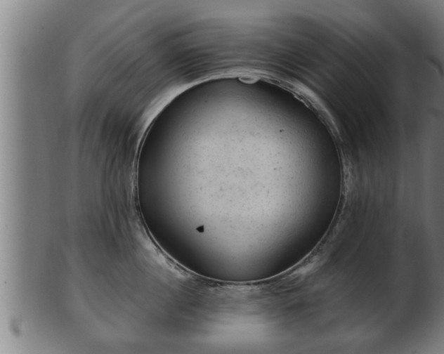 X0000103320860200809121146