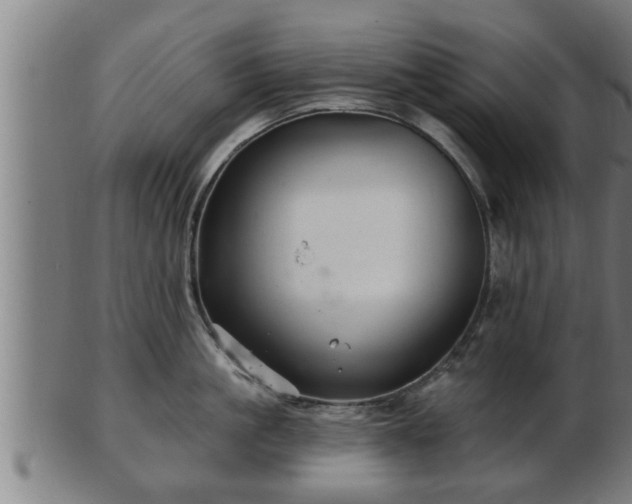 X0000103320861200809121146