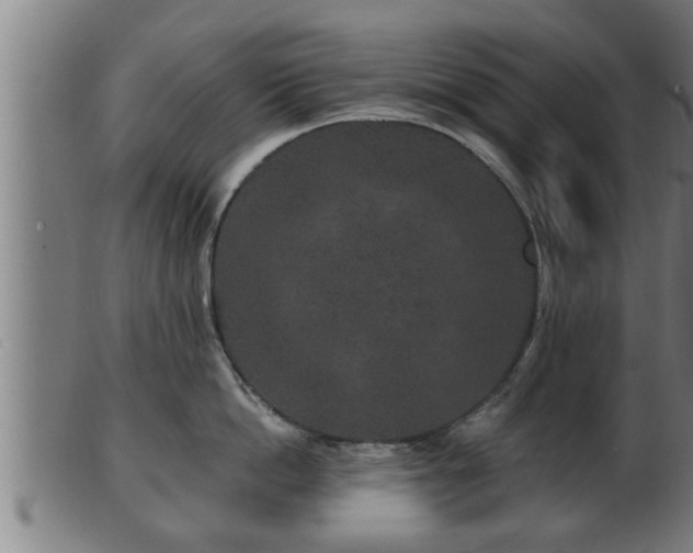 X0000103320862200809121146