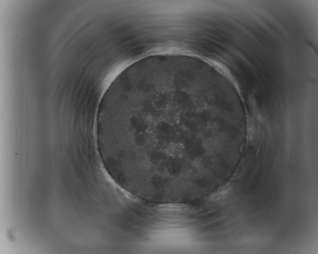 X0000103320863200809121146