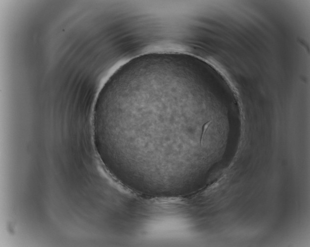 X0000103320864200809121146