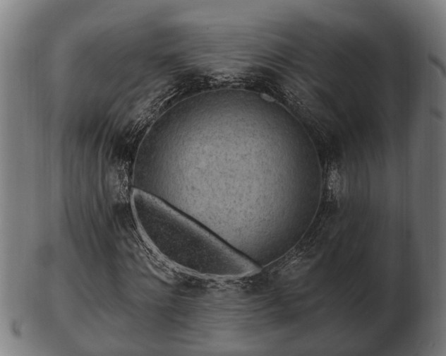 X0000103320868200809121145