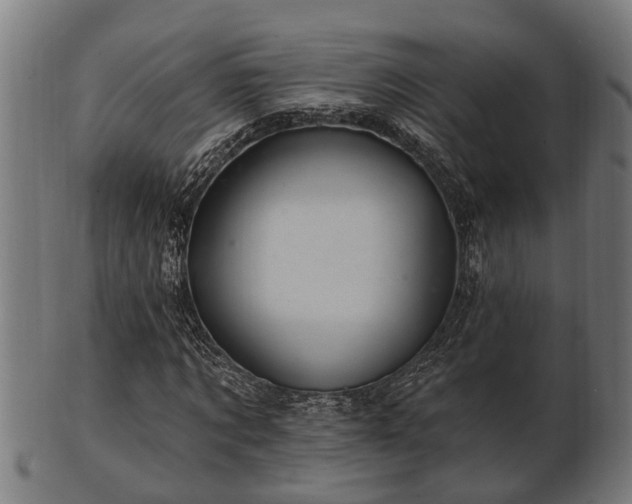 X0000103320869200809121145