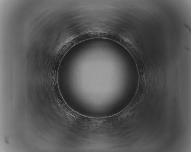 X0000103320870200809121145