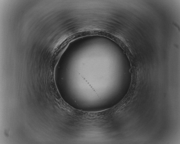 X0000103320871200809121145