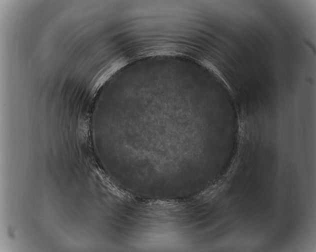 X0000103320874200809121145