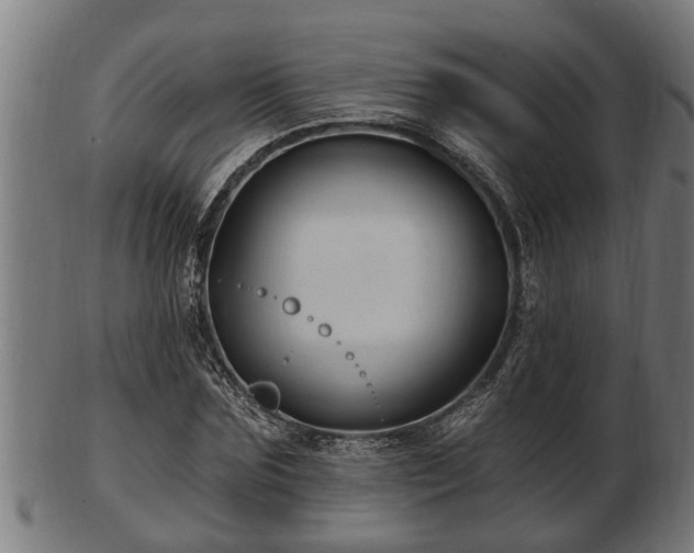 X0000103320875200809121145