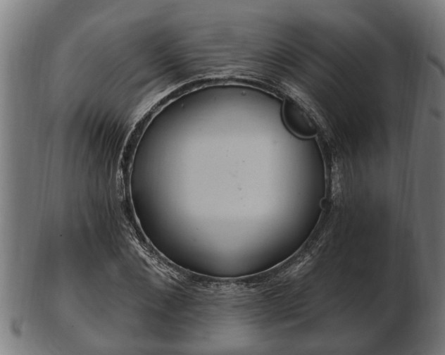 X0000103320876200809121145