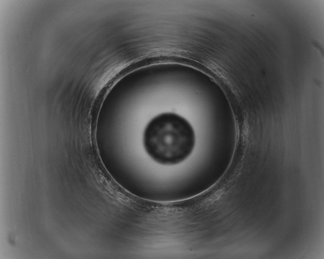 X0000103320877200809121145