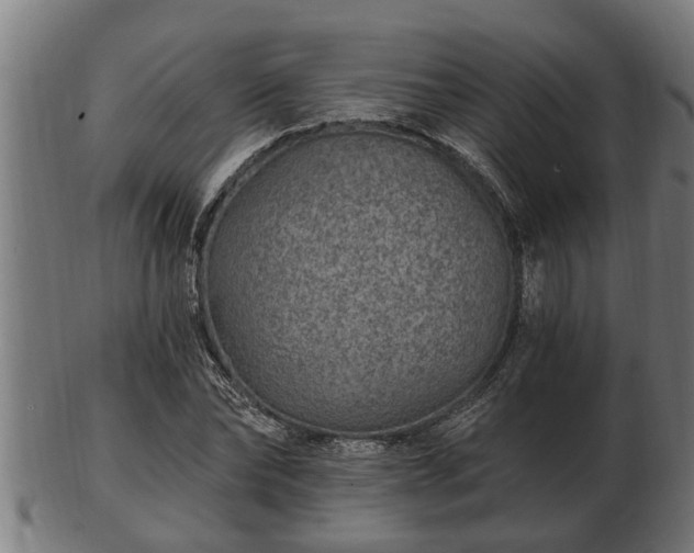 X0000103320878200809121145