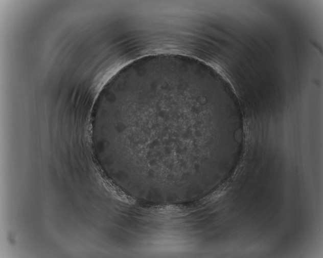 X0000103320879200809121145