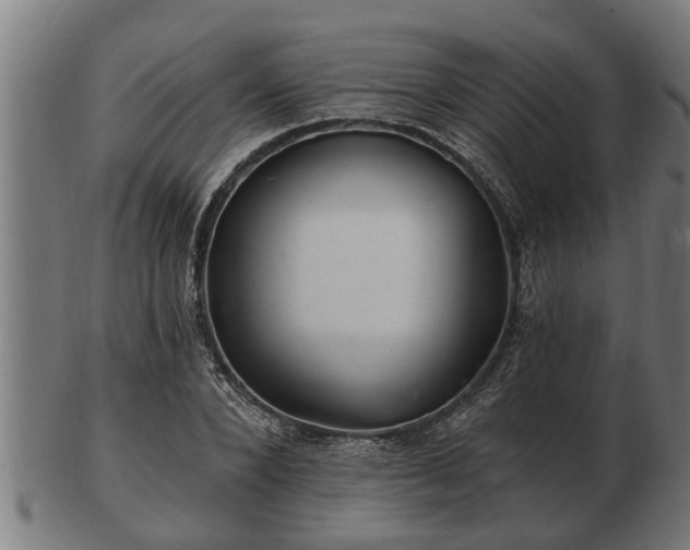 X0000103320880200809121145