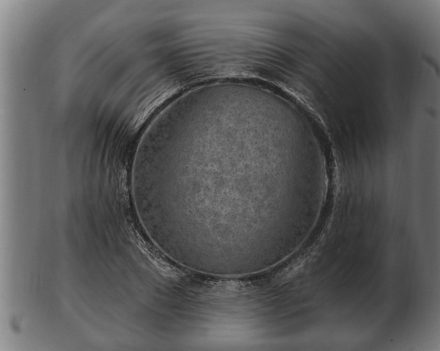 X0000103320881200809121145