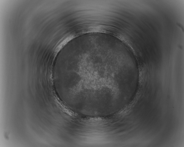 X0000103320882200809121145