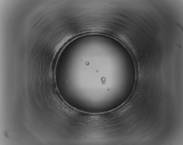 X0000103320883200809121145