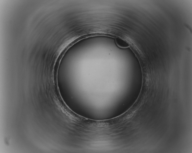 X0000103320884200809121145