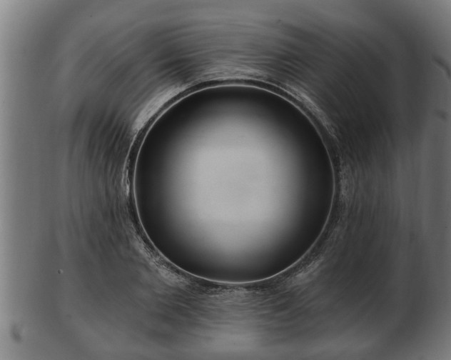 X0000103320885200809121145