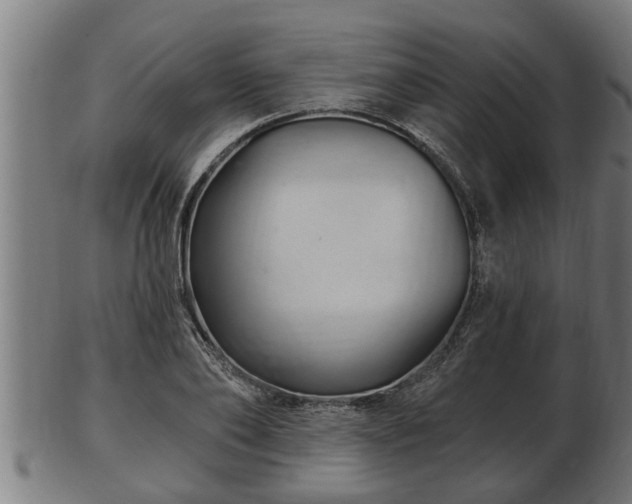 X0000103320886200809121145