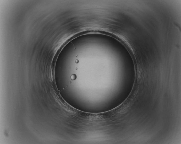 X0000103320887200809121145