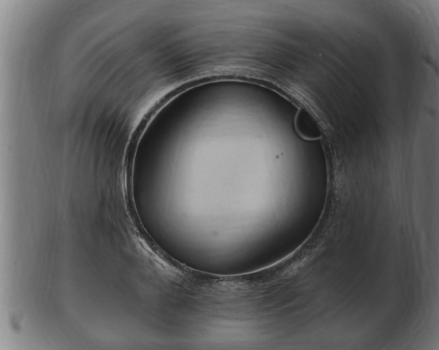 X0000103320888200809121145