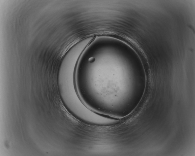 X0000103320889200809121145