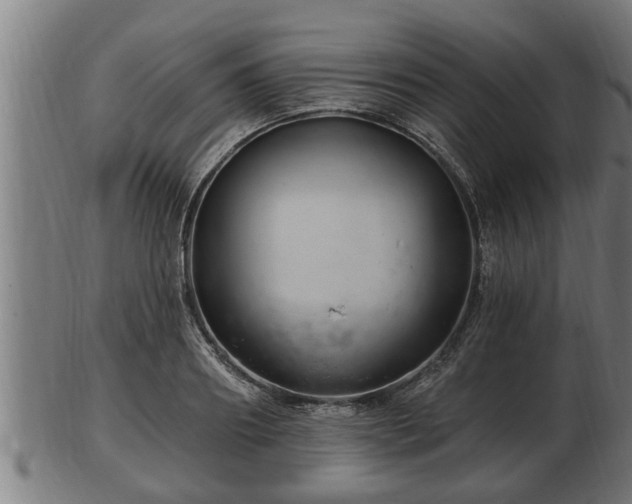 X0000103320890200809121145