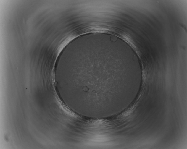 X0000103320891200809121145