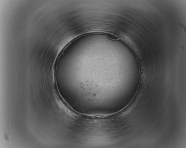 X0000103320892200809121145