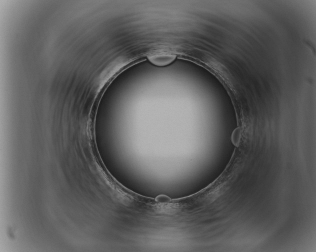 X0000103320893200809121145