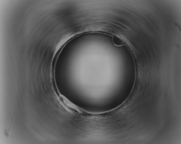 X0000103320894200809121145