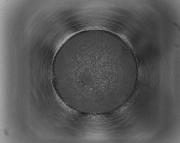 X0000103320895200809121145