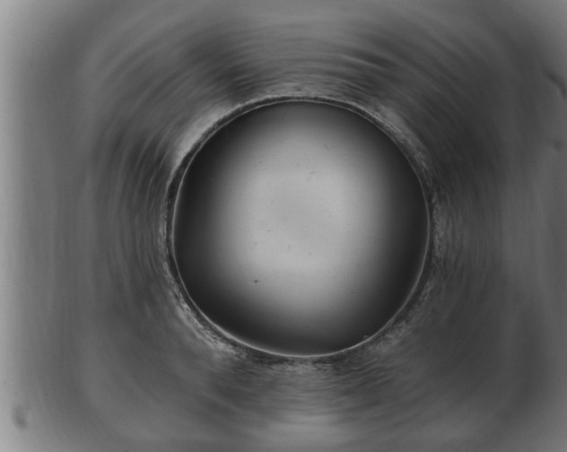 X0000103320896200809121145