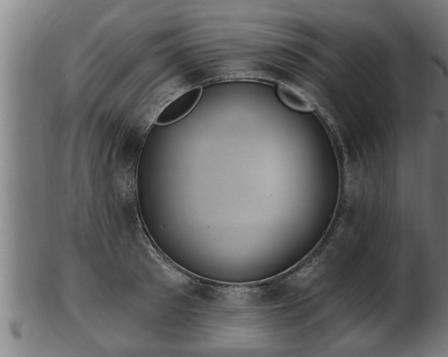 X0000103320897200809121145