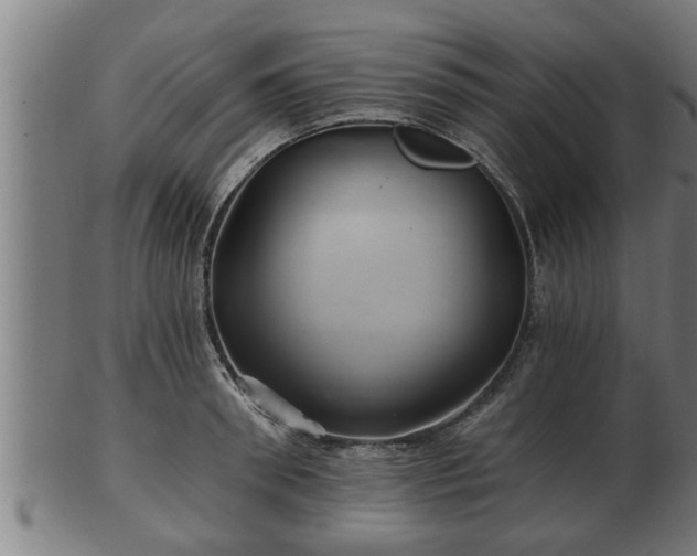 X0000103320898200809121145