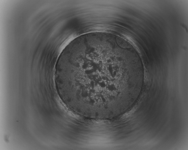 X0000103320899200809121145